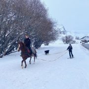Val d'Isère horse-drawn skiing
