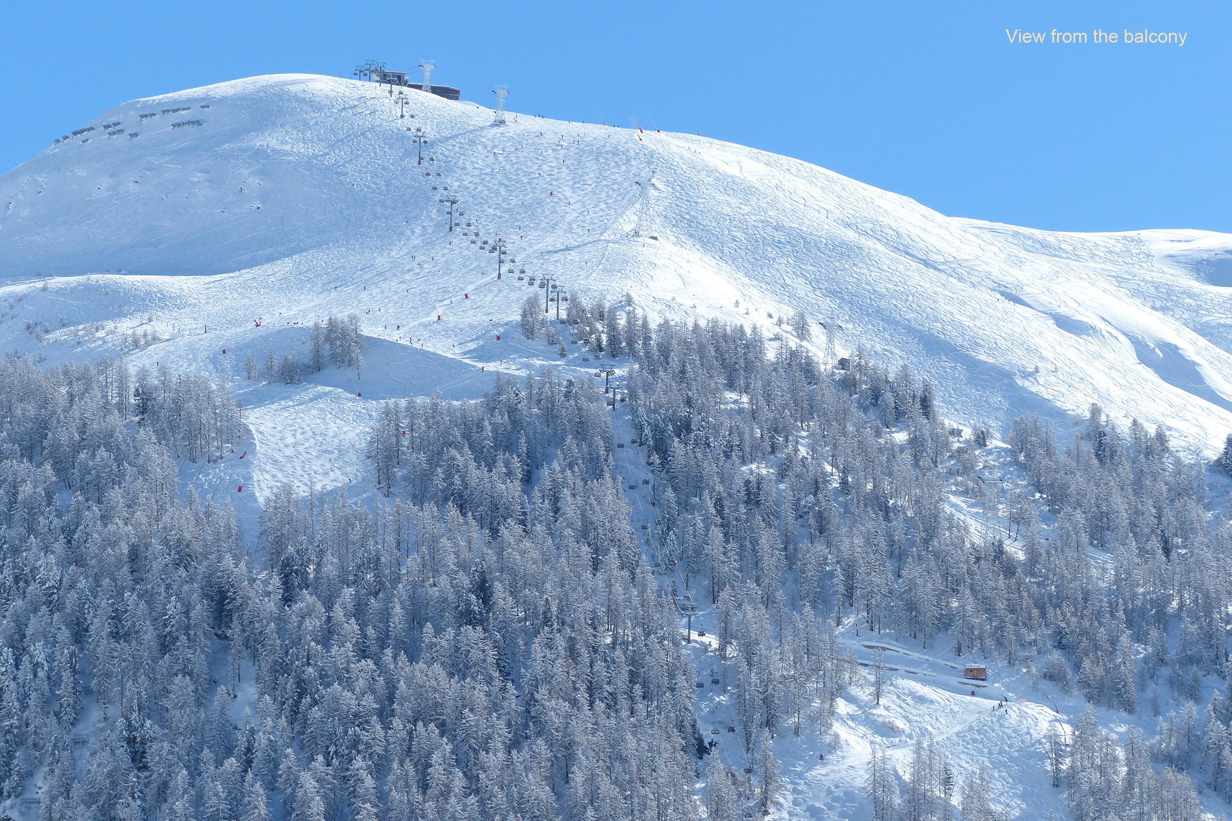 Comtes de Savoie